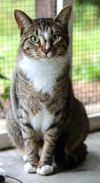 Gamora