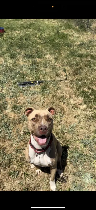 ADDIE