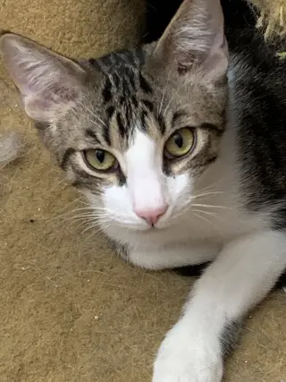 Theodore (Teddy)