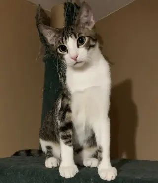 Theodore (Teddy)