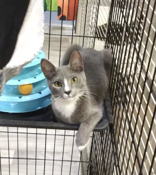 Tom