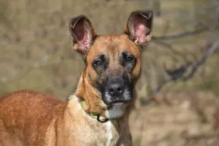 June aka Juno