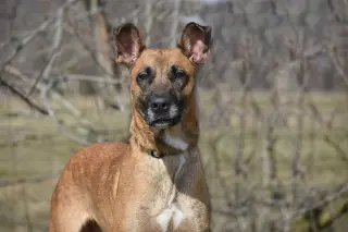 June aka Juno