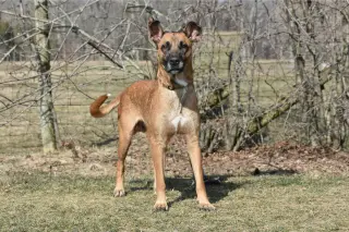 June aka Juno