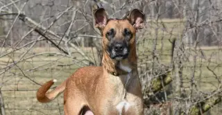 June aka Juno