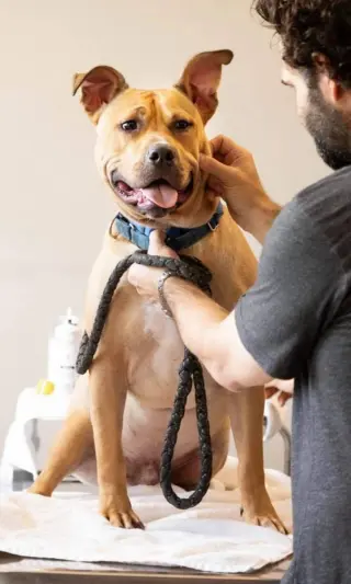 Archibald