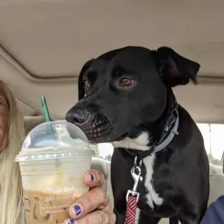 OREO