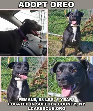 OREO