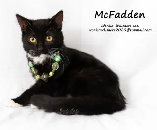 McFADDEN