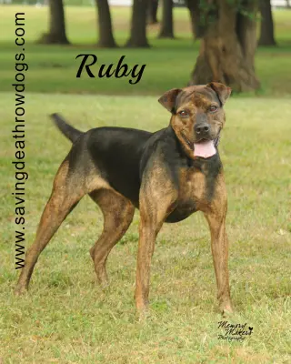 Ruby