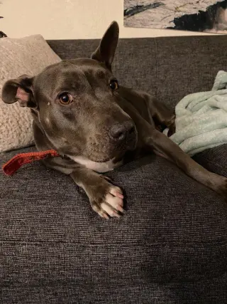 Keisy