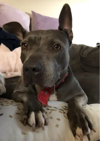 Keisy