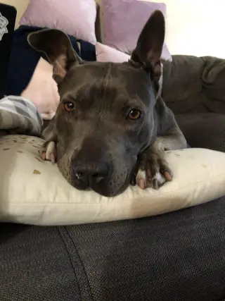 Keisy
