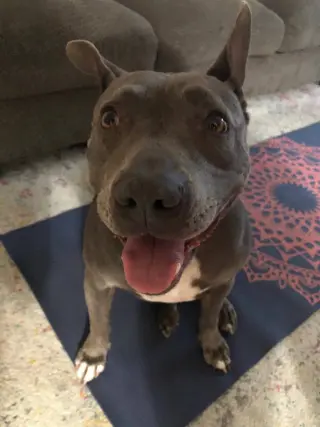 Keisy