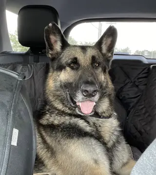 Matthias