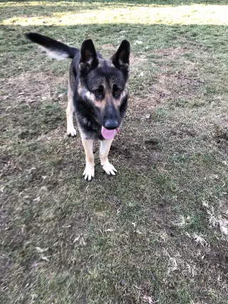 Matthias