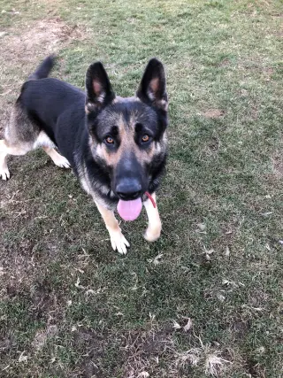 Matthias