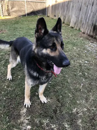 Matthias