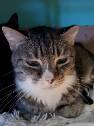 Max