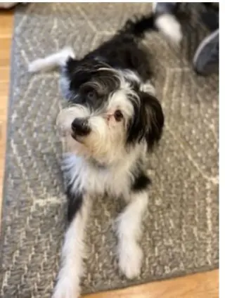 Holly in  RI