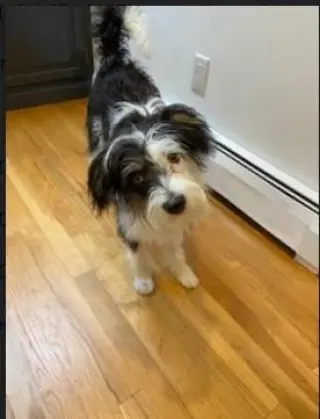 Holly in  RI