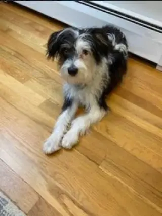 Holly in  RI