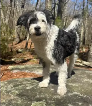 Holly in  RI