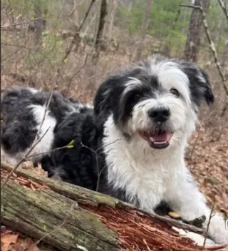 Holly in  RI