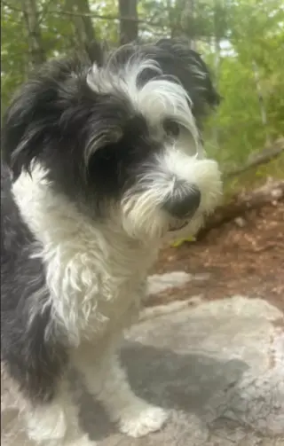 Holly in  RI