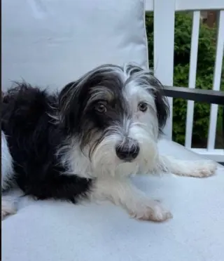 Holly in  RI