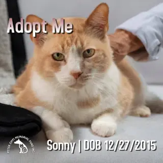 Sonny