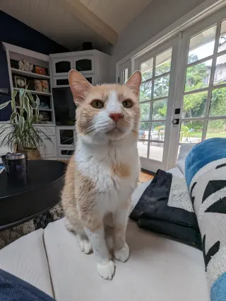 Sonny