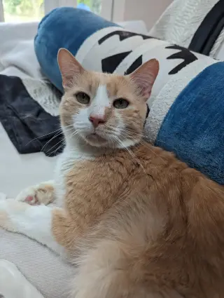 Sonny