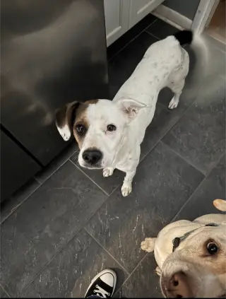 Zoe AKA Dottie