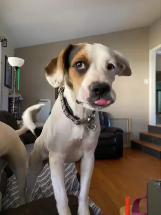 Zoe AKA Dottie