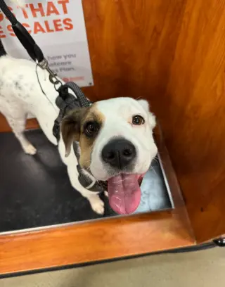 Zoe AKA Dottie