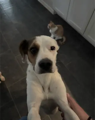 Zoe AKA Dottie