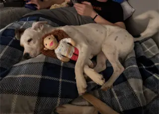 Zoe AKA Dottie