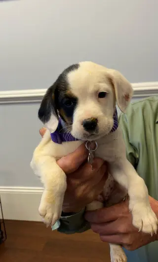 Zoe AKA Dottie
