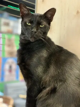 George