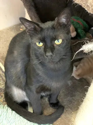 George