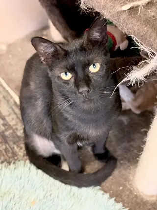George