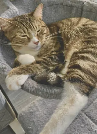 Boy