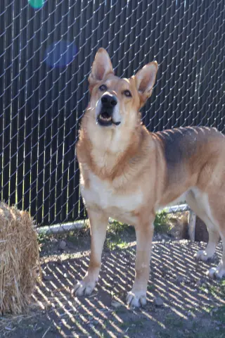 Max