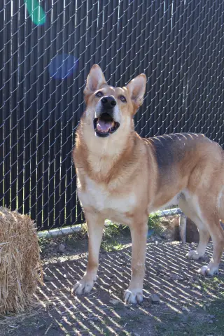 Max