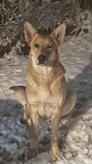 Max