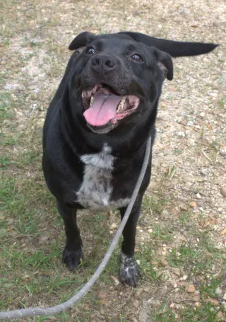 Loretta