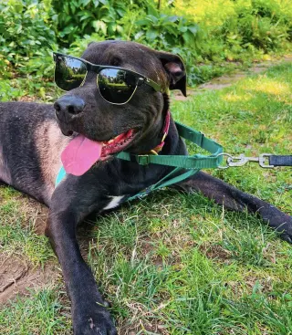 Astro