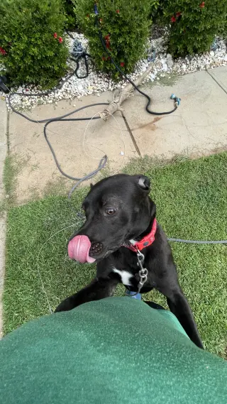 Astro