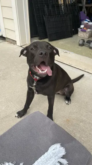 Astro
